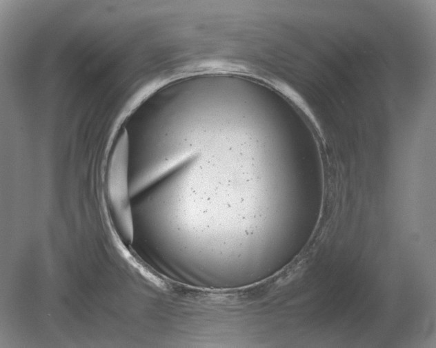 X0000080781381200701051316