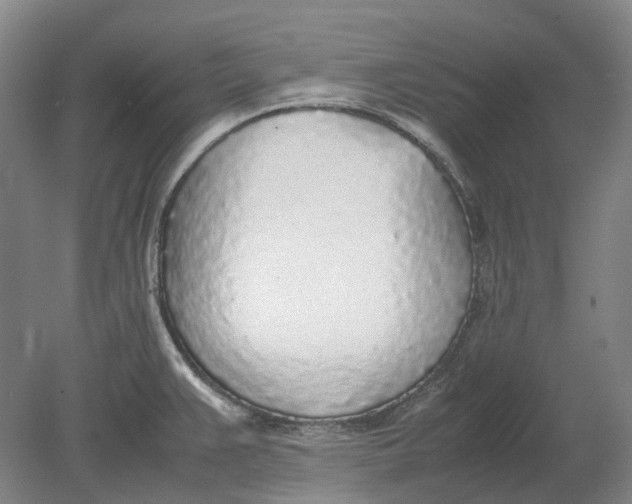 X0000080781383200701051316