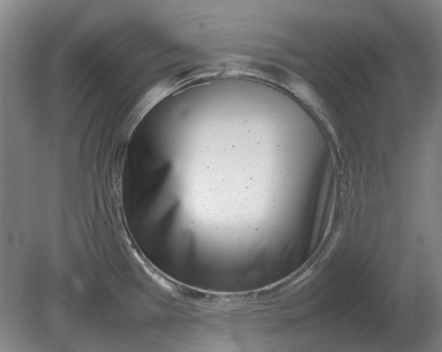 X0000080781385200701051316
