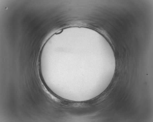 X0000080781387200701051316