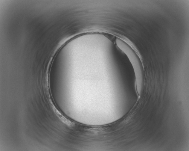 X0000080781388200701051316