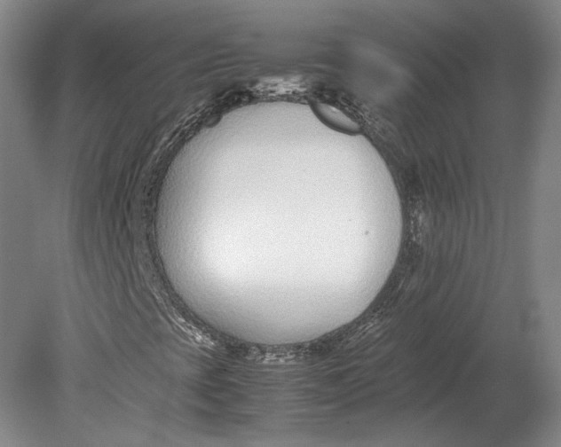 X0000080781393200701051315