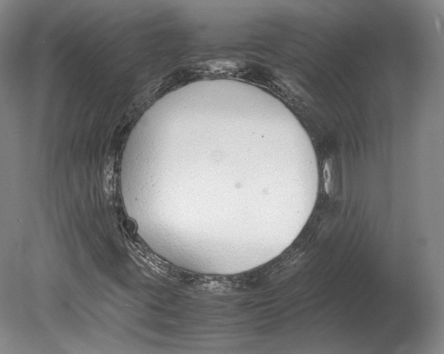 X0000080781395200701051315