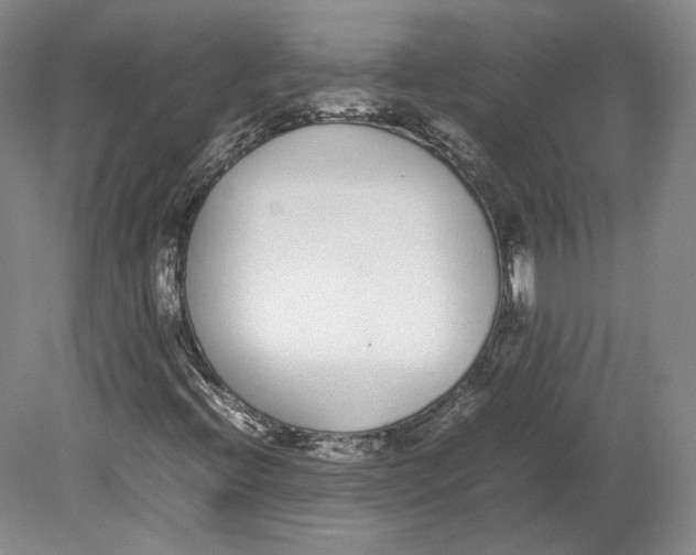 X0000080781396200701051315