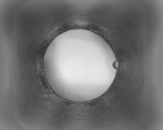 X0000080781397200701051315