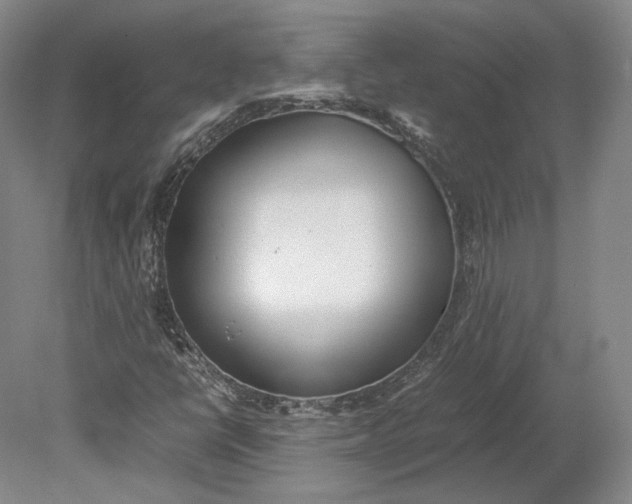 X0000080781398200701051315