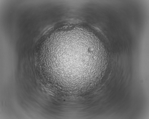 X0000080781399200701051315