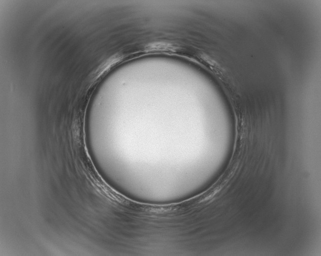 X0000080781401200701051315