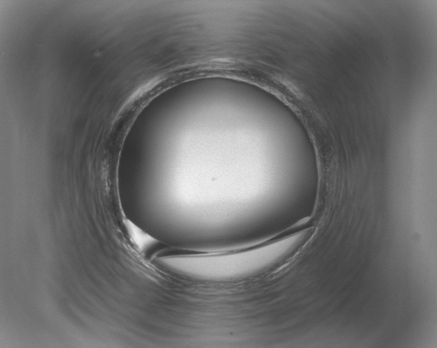 X0000080781402200701051315