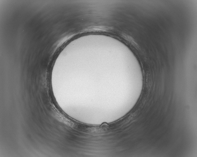X0000080781404200701051316