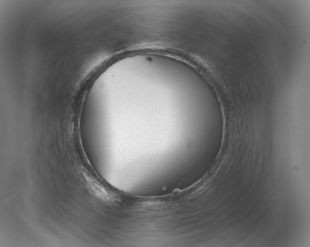 X0000080781406200701051316