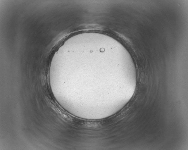 X0000080781407200701051316