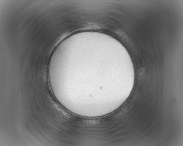 X0000080781409200701051316