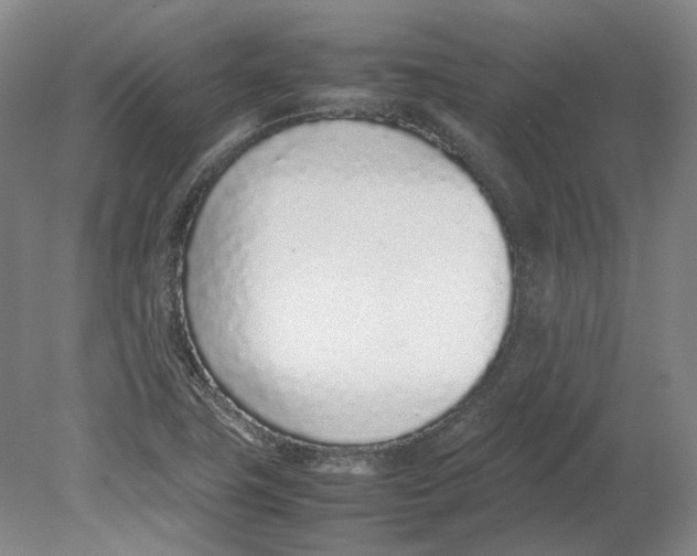 X0000080781411200701051316