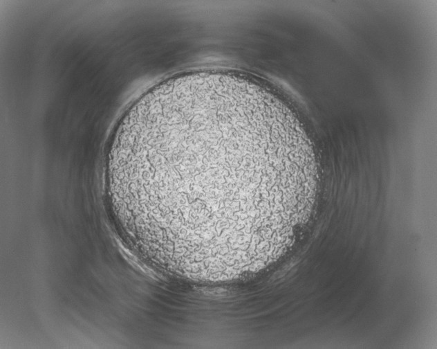X0000080781413200701051316