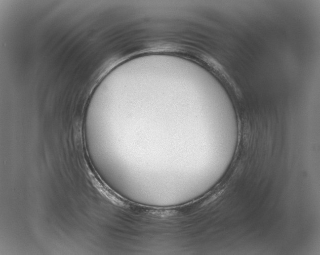 X0000080781417200701051316