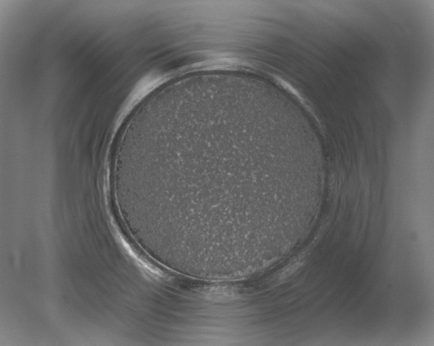 X0000080781418200701051316