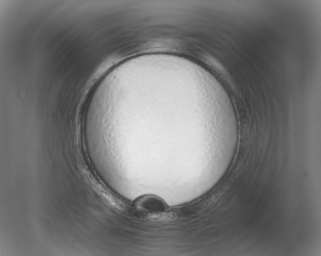 X0000080781419200701051316