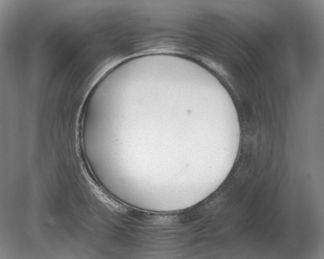X0000080781423200701051316