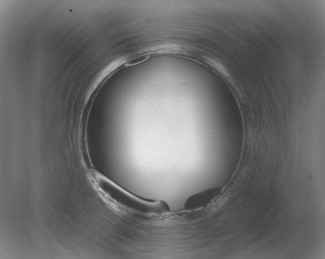 X0000080781426200701051316