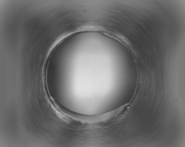 X0000080781430200701051316