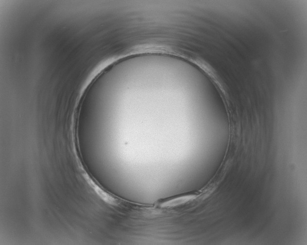 X0000080781438200701051316