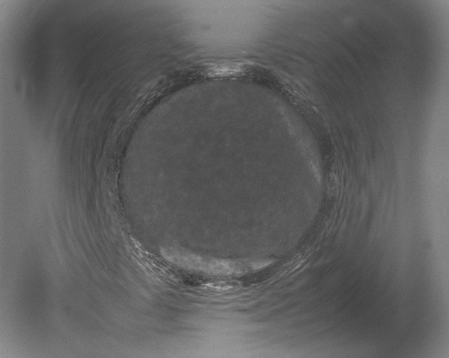X0000080781441200701051315