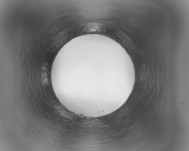 X0000080781442200701051315