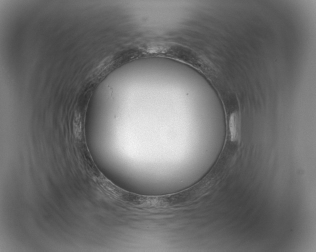 X0000080781443200701051315