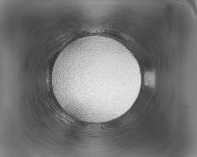 X0000080781444200701051315