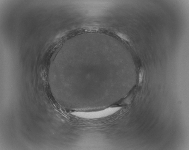 X0000080781445200701051315