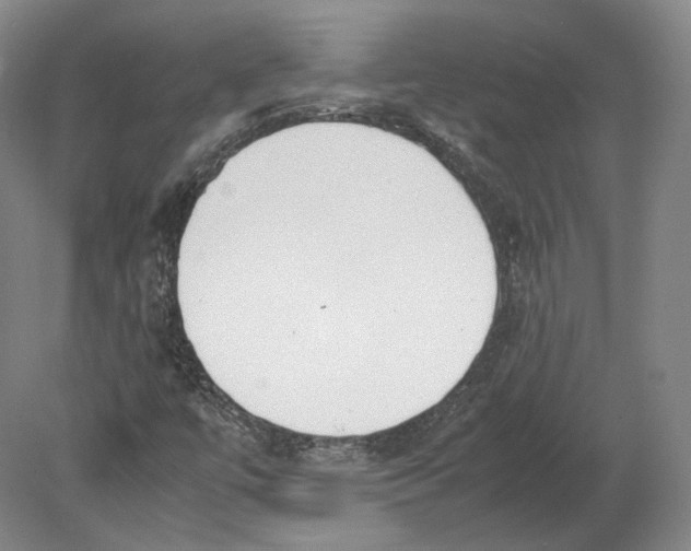 X0000080781447200701051315
