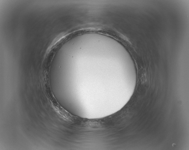 X0000080781448200701051315