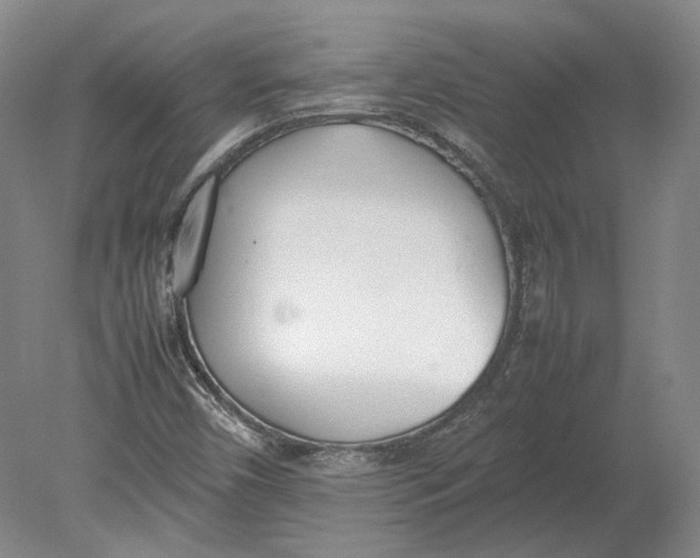 X0000080781450200701051315