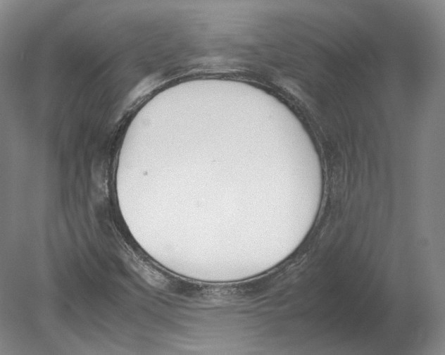 X0000080781451200701051315