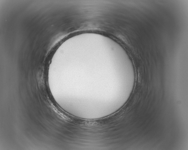 X0000080781452200701051315
