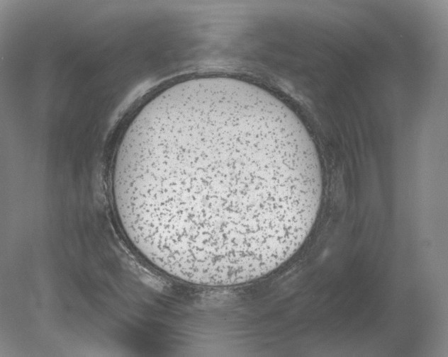 X0000080781454200701051315
