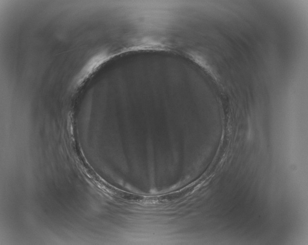 X0000080781455200701051315