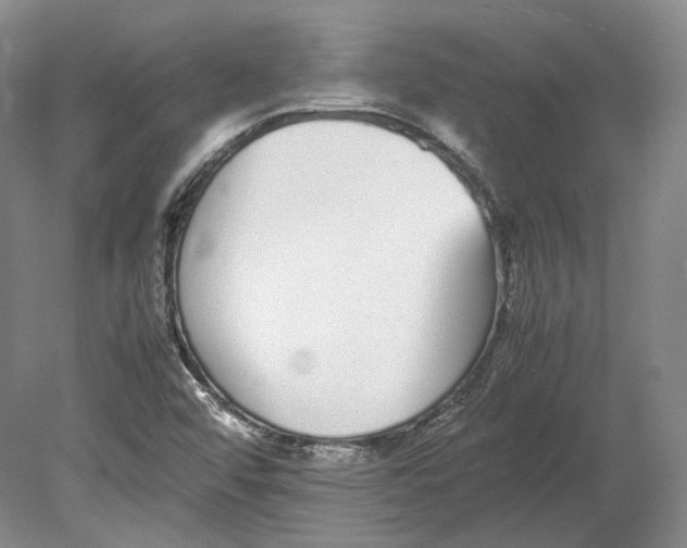 X0000080781456200701051315