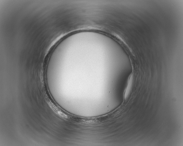 X0000080781460200701051315