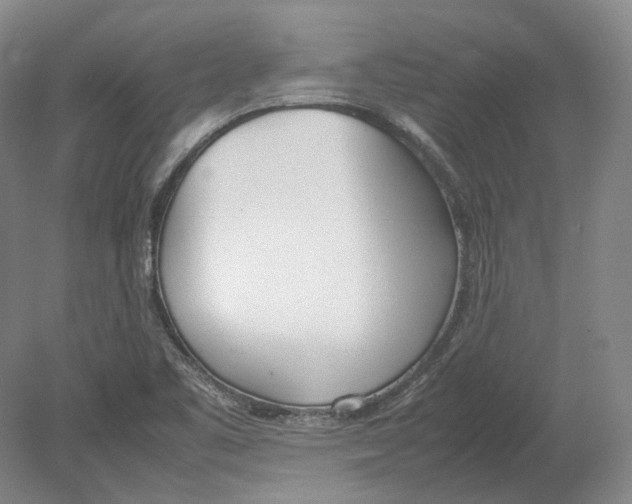 X0000080781461200701051315