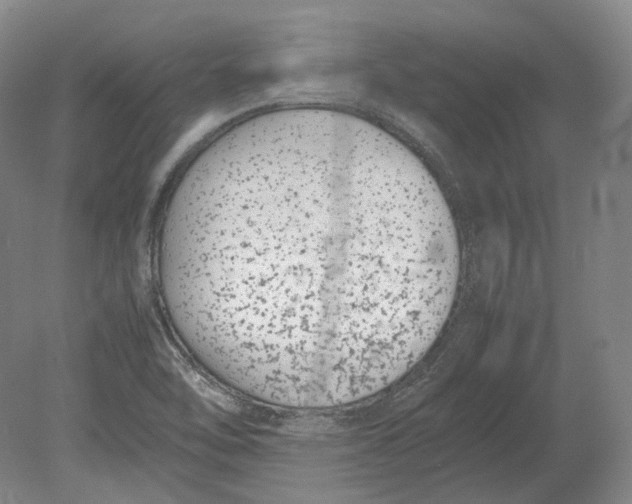 X0000080781462200701051315