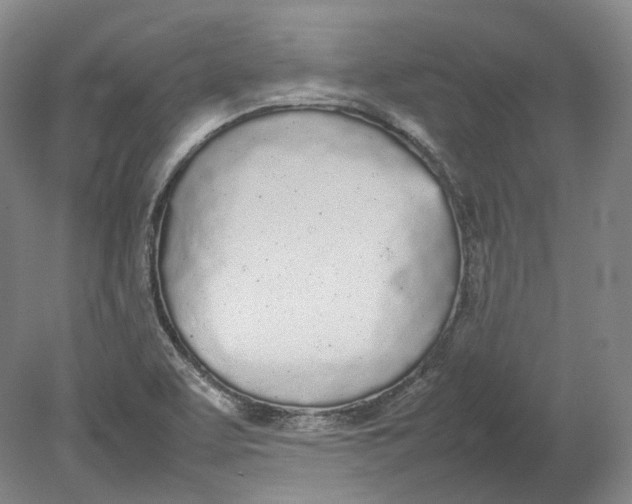 X0000080781463200701051315