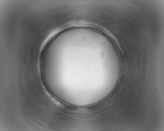 X0000080781464200701051315