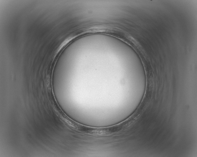 X0000080781465200701051315