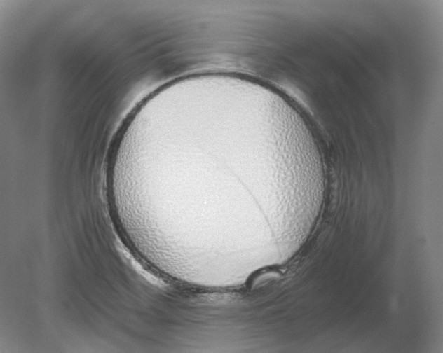 X0000080781468200701051315