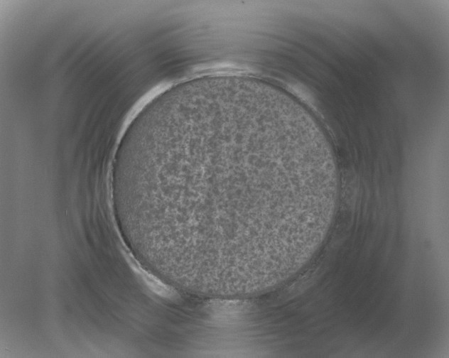 X0000080781474200701051315