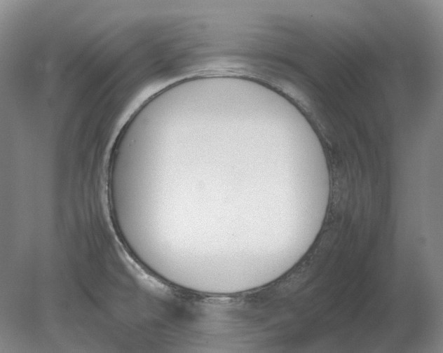 X0000080781478200701051315