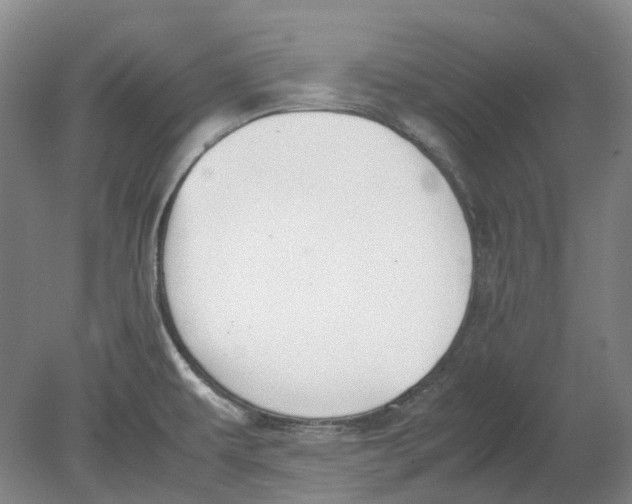 X0000080781479200701051315