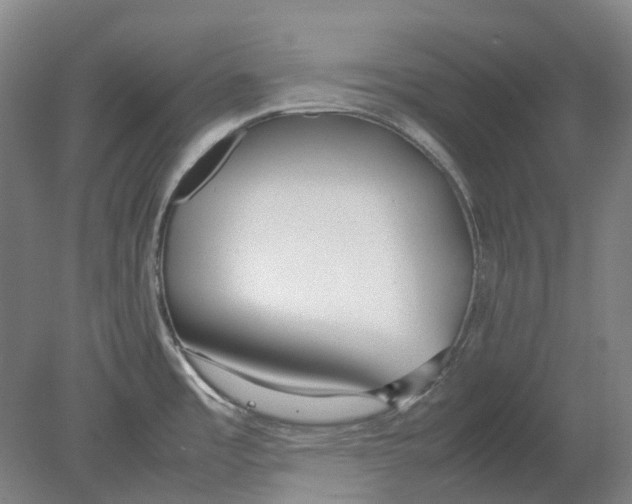 X0000080781485200701051315
